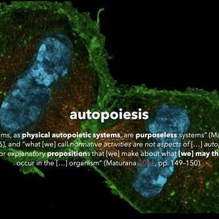 Somatic dance artist, говоришь