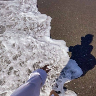 Морская черепашка