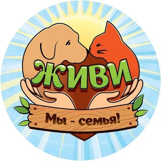 ❤️🐾ЖИВИ🐾❤️ - большая семья!