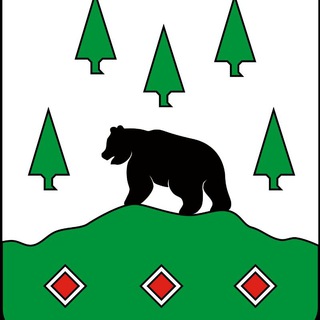 Бокситогорский | Главный