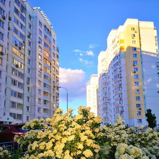 Большое Кусково_УК