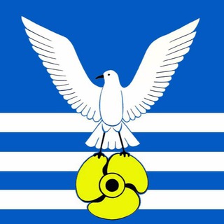 Администрация Большого Камня