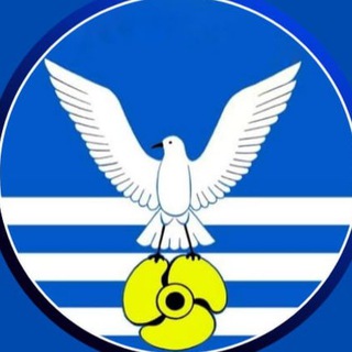 Дума городского округа Большой Камень