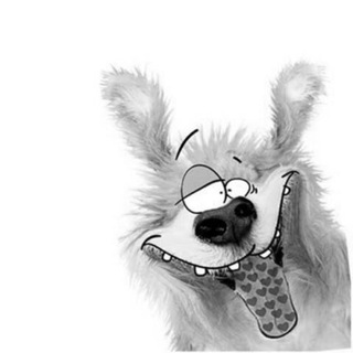 Капля позитива