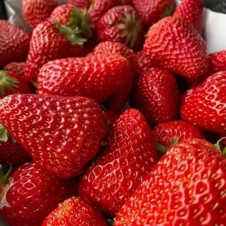 Клубника_русс🍓