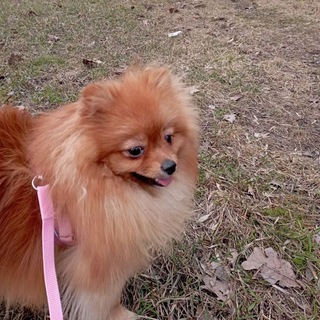 Личная информация Бони