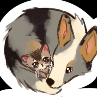 Бубитосы🐶🐱