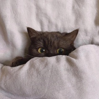 Книжная любовь 🤍