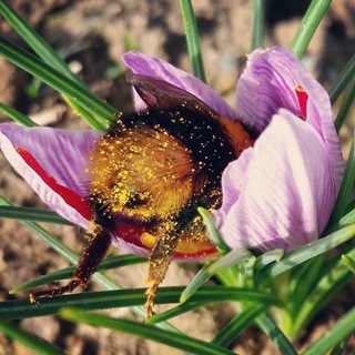 Книги, которые я прочитал