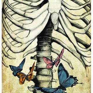 Мир внутри тебя