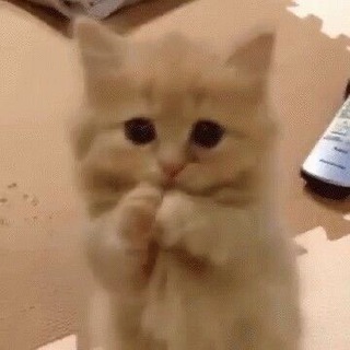 Папирусная империя