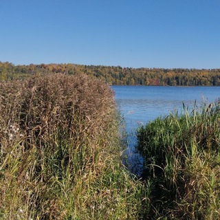Поцелуй меня через забор
