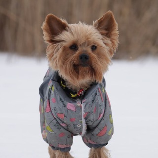 Борцуха Милк&Мартин 🔥