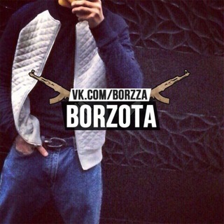 👊 Borzota