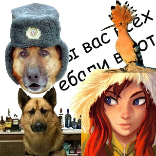 Цитаты великих ботов