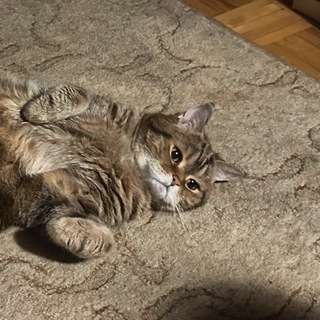 And a bottle of Shiraz