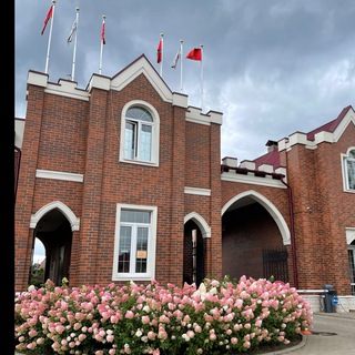 Британика 🏠