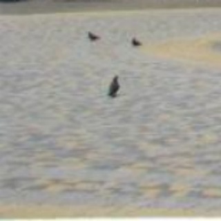 Брусчатка на Казачьей площади