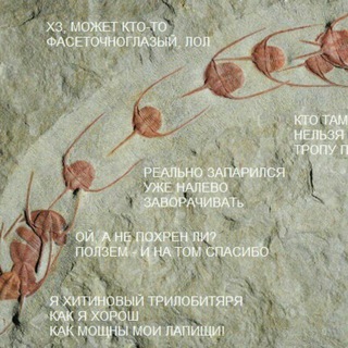 Мысли без позвоночника