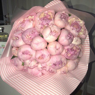 ЗАБЕЙ 《ХУ1》