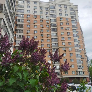 Буденного 26_УК
