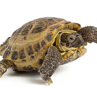 Будни 21 века