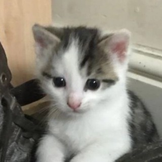 bugsisbad | эдиты | edits | music