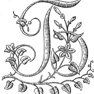 Буки - о детской литературе и не только