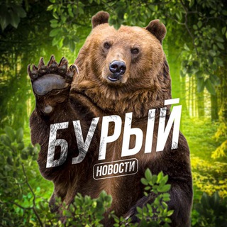 БУРЫЙ | НОВОСТИ