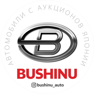 BUSHINUAUTO