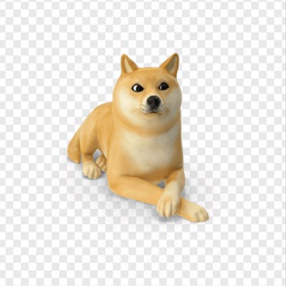 закупился на хаях