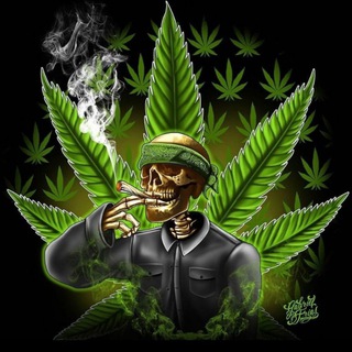 Gashish Shop 🍻 Покупка / Продажа Аккаунтов