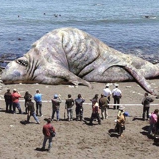 Невероятно, Но Факт