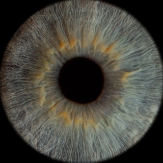 VLAD печатает… 🦄