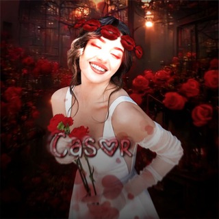 °*˖✧𝗖.𝗔.𝗦.𝗢.𝗥 ✧˖*°