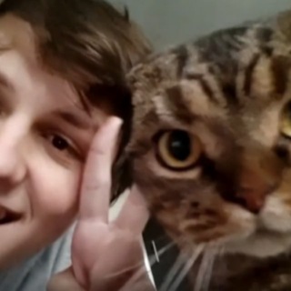 Колючая хатка