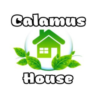 CALAMUS_HOUSE/Кашпо🪴Вазоны