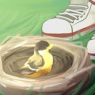 Лагерь «Суседко»