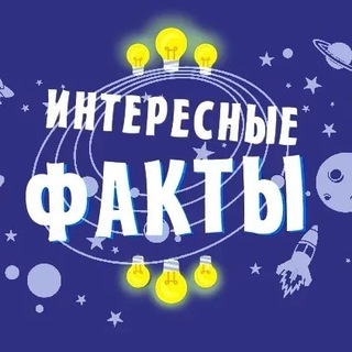 Интересные факты