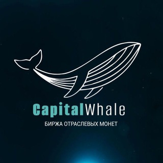 Capital Whale News
