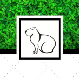 Стоп-Стресс секреты Капибары