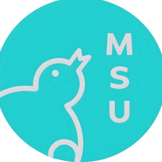 Карьера на мехмате МГУ