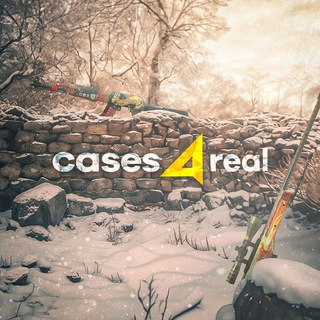 Cases4Real | CS2