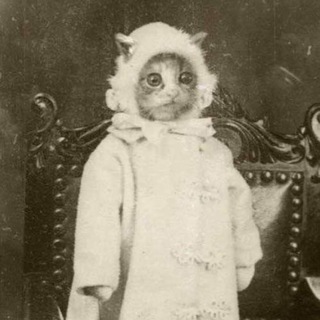 котексты и контексты