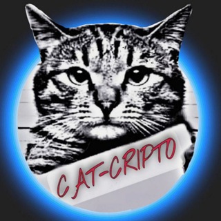 CAT-CRYPTO