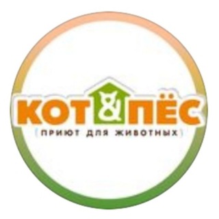 Catndog_kzn Приют 
