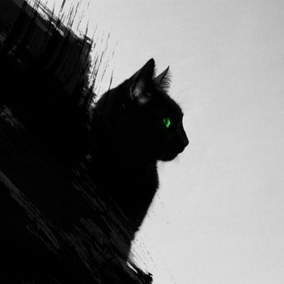 Котики или смерть