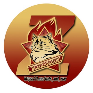 БОЕVЫЕ КОТИКИ