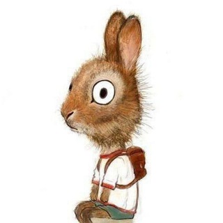 Котики | Собачки | Картинки | Приколы | Животные| Фильмы