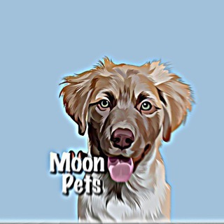 🖇𝐌𝐎𝐎𝐍 𝐏𝐄𝐓𝐒ᶜʰᵃᶰᶰᵉᶫ🫶🏻